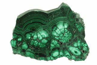 Flowery Polished Malachite Slab - DR Congo #266809