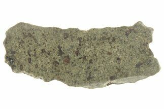 Martian Shergottite Meteorite ( g) Slice - Amgala #268607