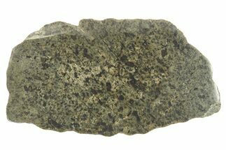 Martian Shergottite Meteorite ( g) Slice - Amgala #268609