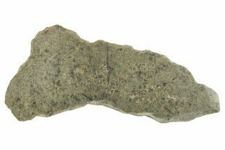 Martian Shergottite Meteorite ( g) Slice - Amgala #268613