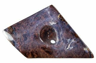 Purple Boulder Opal Cabochon - Queensland, Australia #269067