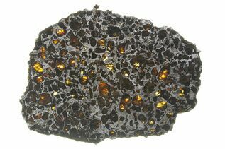 Brahin Pallasites For Sale