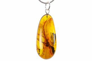 Polished Baltic Amber Pendant (Necklace) - Contains Flies! #270757