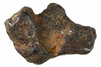 Sericho Pallasite Meteorite ( g) Metal Skeleton #267106