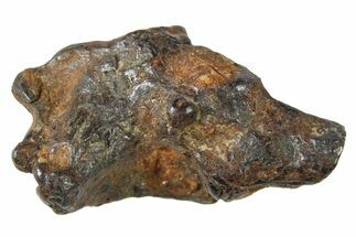 Sericho Pallasite Meteorite ( g) Metal Skeleton #267126