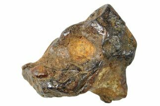 Sericho Pallasite Meteorite ( g) Metal Skeleton #267143