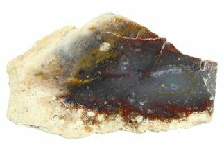 Polished Colorful Agate Section - Java, Indonesia #271521