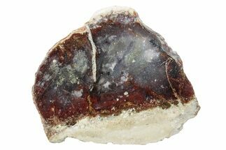 Polished Colorful Moss Agate Slab - Java, Indonesia #271511