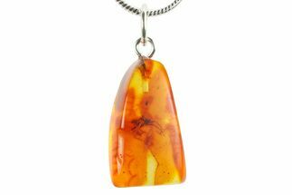 Polished Baltic Amber Pendant (Necklace) - Contains Spider & Fly #272018