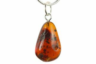 Polished Baltic Amber Pendant (Necklace) - Contains Partial Ant! #272027