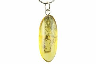 Polished Baltic Amber Pendant (Necklace) - Contains Ant! #272039