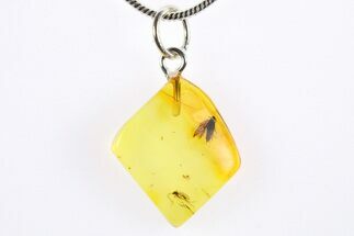 Polished Baltic Amber Pendant (Necklace) - Contains Moth! #272333