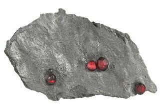 Plate of Four Red Embers Garnets in Graphite - Massachusetts #272708