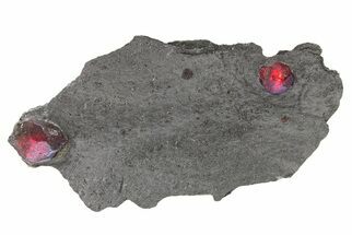 Plate of Two Red Embers Garnets in Graphite - Massachusetts #272738