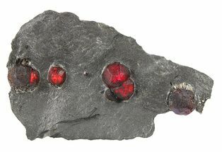 Plate of Four Red Embers Garnets in Graphite - Massachusetts #272752
