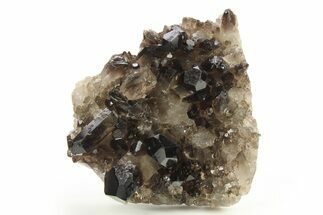 Dark Smoky Quartz Crystal Cluster - Brazil #273018