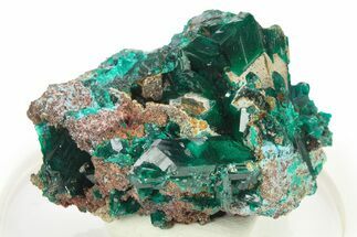 Lustrous Dioptase Crystal Cluster - Republic of the Congo #272938