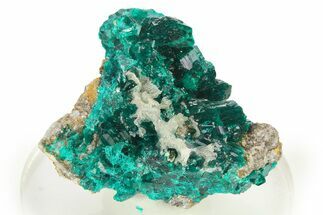 Lustrous Dioptase Crystal Cluster - Republic of the Congo #272941