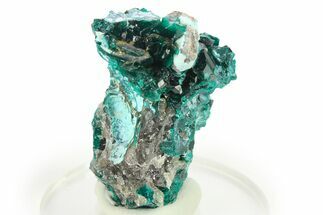 Lustrous Dioptase Crystals on Plancheite - Republic of the Congo #272944