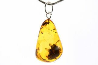 Polished Baltic Amber Pendant (Necklace) - Contains Fly & Beetle #273499