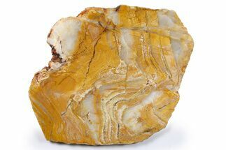 Polished Strelley Pool Stromatolite Slab - Billion Years Old #273569