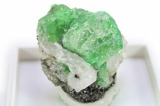 Lustrous Tsavorite Garnets on Graphite - Tanzania #273708