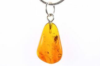 Polished Baltic Amber Pendant (Necklace) - Contains Winged Aphid! #273749