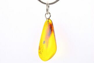 Polished Baltic Amber Pendant (Necklace) - Contains Flower Stamen! #273752