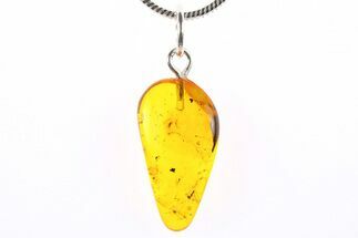 Polished Baltic Amber Pendant (Necklace) - Contains Flies & Mites! #273765