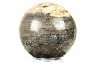 Petrified Wood (Tropical Hardwood) Sphere - Indonesia #274210