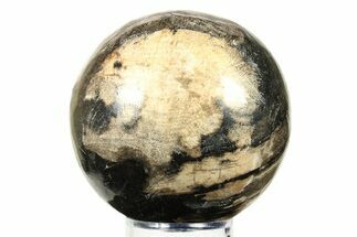 Petrified Wood (Tropical Hardwood) Sphere - Indonesia #274228