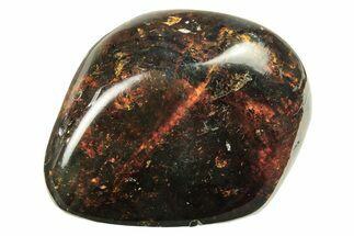Polished Chiapas Amber ( g) - Mexico #274431