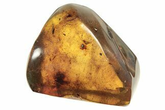Polished Chiapas Amber ( g) - Mexico #274448
