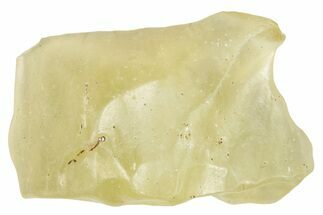 Libyan Desert Glass ( g) - Meteorite Impactite #274471