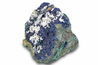 Sparkling Azurite and Malachite with Chalcopyrite - Morocco #274493