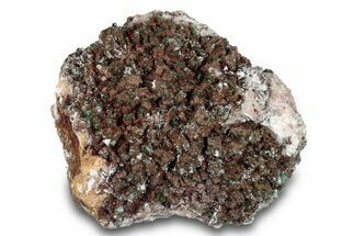 Fibrous Malachite and Selenite on Ferroan Dolomite - Morocco #274349