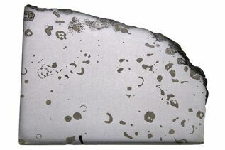 Dronino Meteorites For Sale