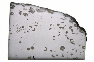 Gleaming Dronino Iron Meteorite Slice ( g) - Ryazan, Russia #264914