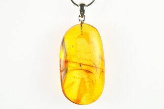 Polished Baltic Amber Pendant (Necklace) - Contains Insects! #275716