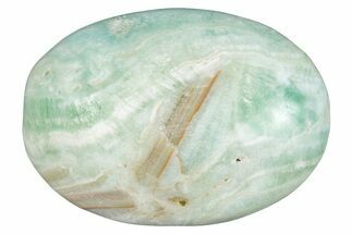 Polished Blue Caribbean Calcite Palm Stone #275589