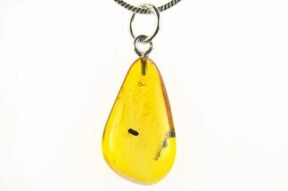 Polished Baltic Amber Pendant (Necklace) - Contains Beetle! #275823