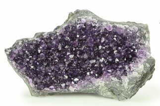 Sparkling Purple Amethyst Crystal Cluster - Uruguay #276248