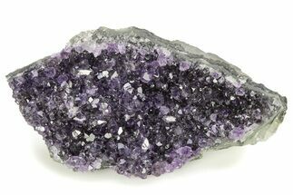 Sparkling Purple Amethyst Crystal Cluster - Uruguay #276190