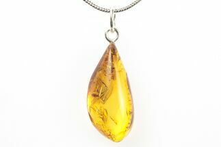 Polished Baltic Amber Pendant (Necklace) - Aphid, Fly & Mite! #275885