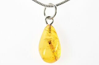 Polished Baltic Amber Pendant (Necklace) - Contains Fly! #275902