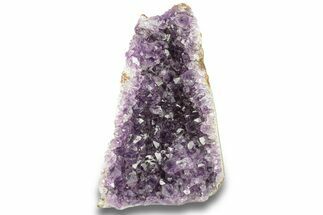 Free-Standing, Amethyst Crystal Cluster - Uruguay #276701