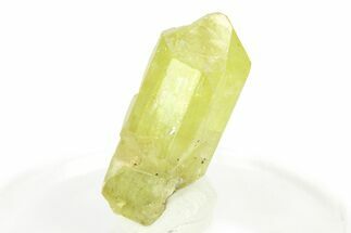 Gemmy Yellow-Green Apatite Crystal - Morocco #276534