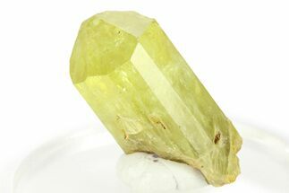 Gemmy Yellow-Green Apatite Crystal - Morocco #276536