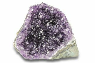 Free-Standing, Amethyst Crystal Cluster - Uruguay #276838