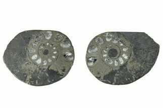 Pyritized Cut Ammonite Fossil Pair - Morocco #276606